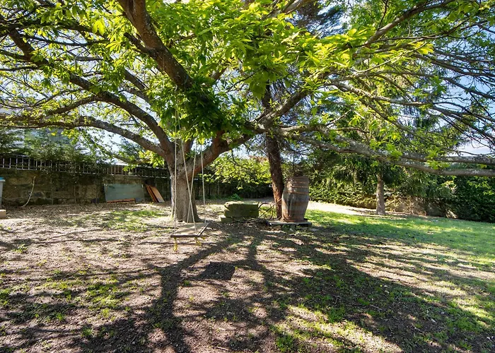 Casa Chocolate * Порту