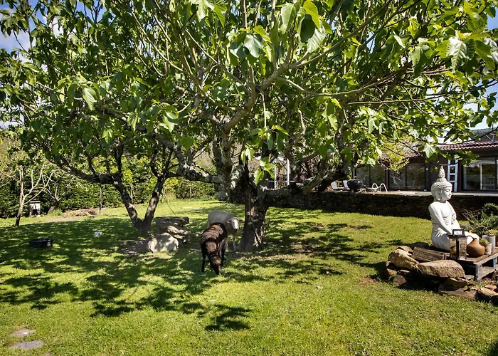 Casa Chocolate Porto