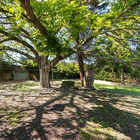 Casa Chocolate * Porto